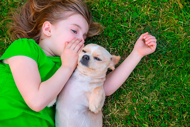 a small girl is whispering a message to her dog